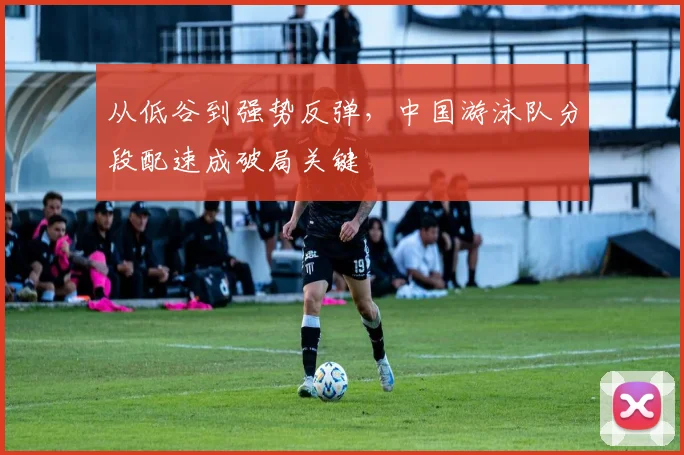 从低谷到强势反弹,中国游泳队分段配速成破局关键