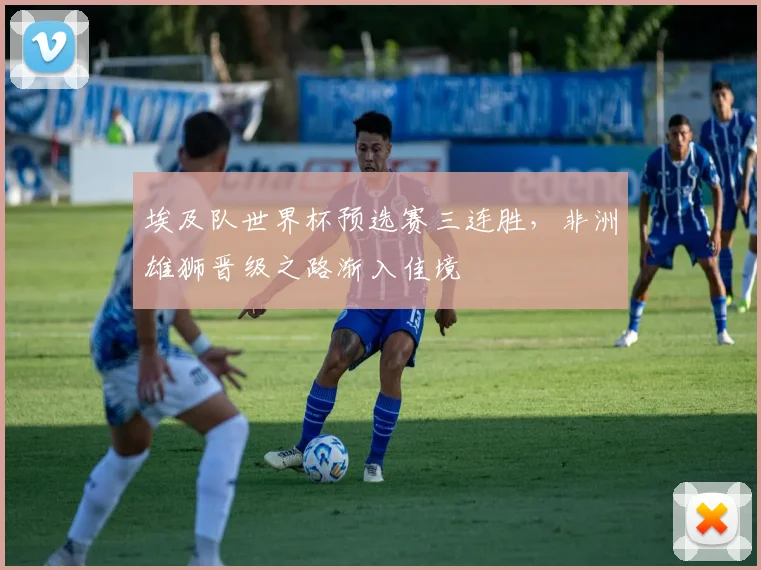 埃及队世界杯预选赛三连胜,非洲雄狮晋级之路渐入佳境