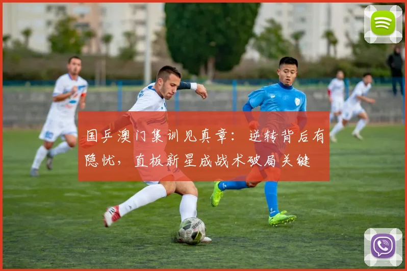 国乒澳门集训见真章：逆转背后有隐忧，直板新星成战术破局关键
