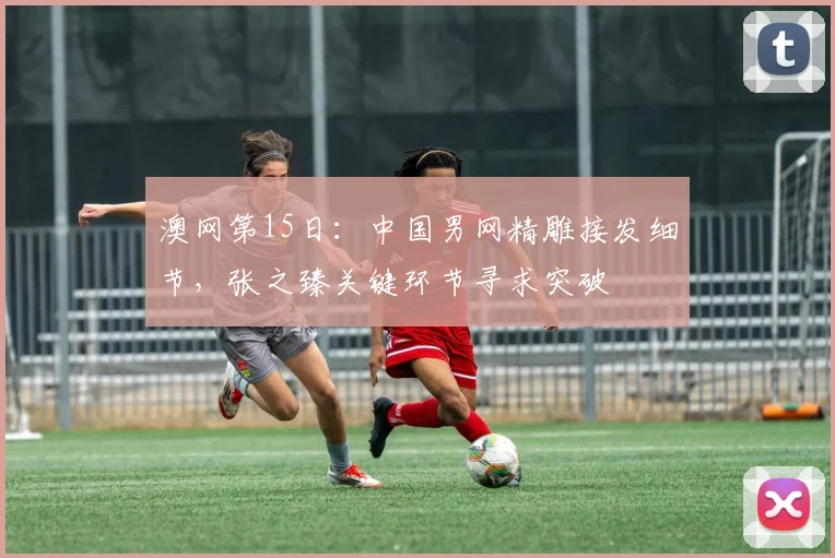 澳网第15日：中国男网精雕接发细节，张之臻关键环节寻求突破