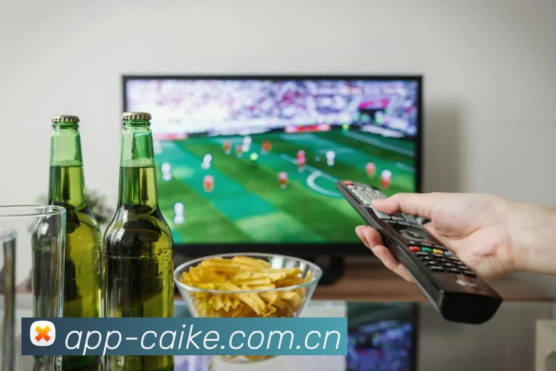 2024用户选择奖